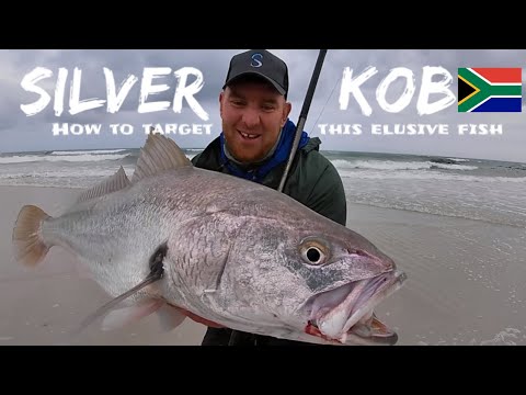 Видео: КАК ПОПОЙМАТЬ СЕРЕБРЯНОГО КОБА В ЮЖНОЙ АФРИКЕ