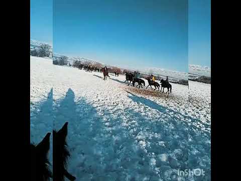 Видео: Кайырма-Арык Илимбек 💪😈