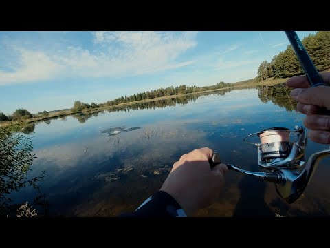 Видео: Как искать водоемы с хищником, какие приманки применять на незнакомом водоеме [Пора ловить щуку]