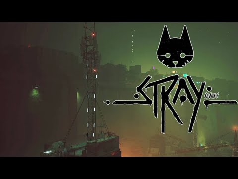 Видео: #3 САМОЕ ВЫСОКОЕ МЕСТО ГОРОДА ● Stray | Прохождение без комментариев | PS5