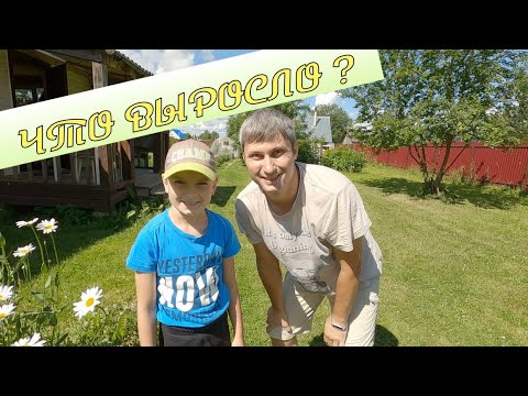 Видео: Такого мы не ожидали, новая плантация ягод и грибов