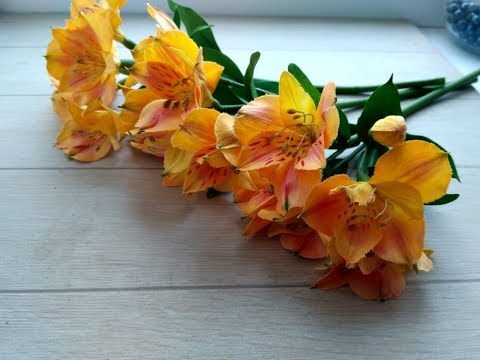 Видео: МК Альстромерия.  Делаем лепестки