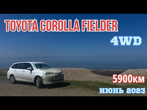 Видео: Перегон TOYOTA COROLLA FIELDER 4WD 2017 года V1.5
