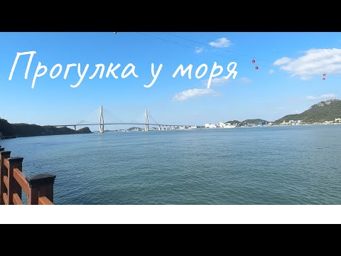 Видео: Прогулка в выходной у моря /KOREA VLOG/