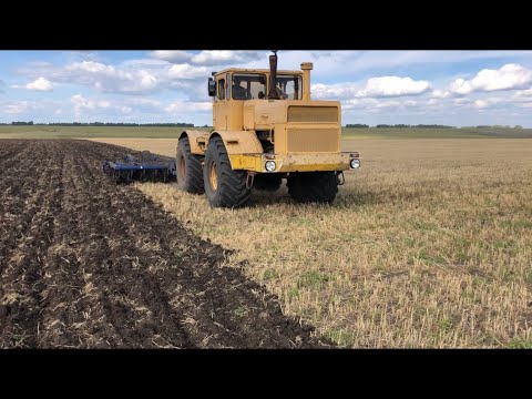 Видео: Трактор Кировец. Обрабатываем стерню К 700 + БДМ6*4