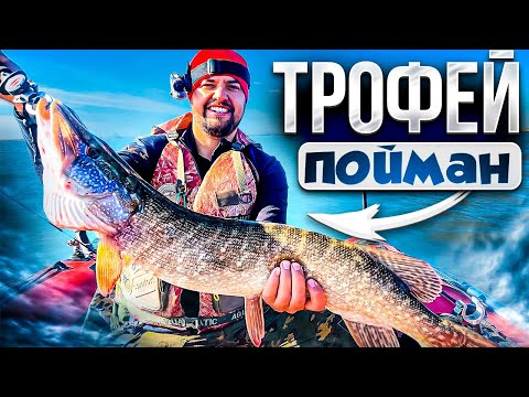 Видео: Зарубились на 100$ кто больше рыбы поймает! Рыбалка 2022 на щуку