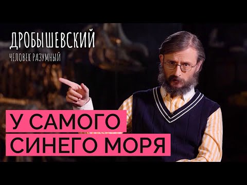 Видео: Когда древние люди научились плавать // Дробышевский. Человек разумный