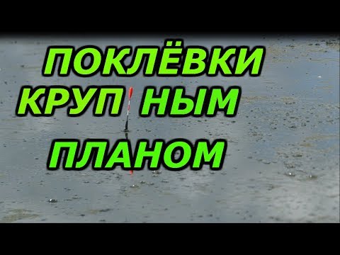 Видео: рыбалка с ночёвкой.рыбалка в камышах с лодки на карася. рыбалка на поплавок