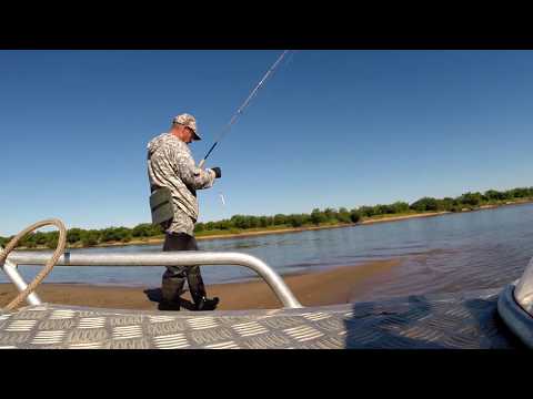 Видео: Верхогляд.  Щука.  В поисках хищника