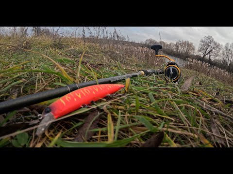 Видео: День шнурка или как напильники точили арбуз! Рыбалка на воблер Varuna от Bearking.