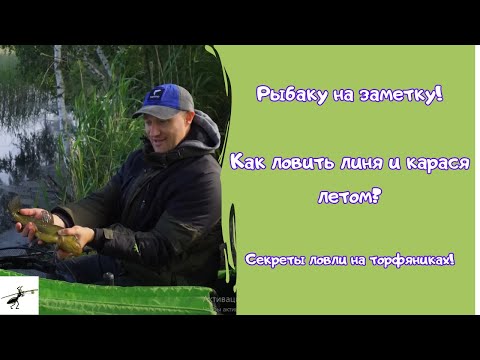 Видео: ОБ ЭТОМ знают немногие! Как ловить линя и карася летом? Секреты летней рыбалки на фидер