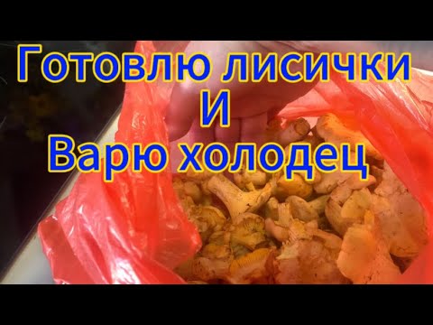 Видео: Готовлю лисички и варю холодец