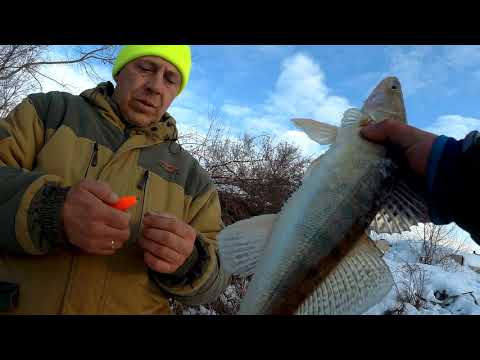 Видео: Северский гидроузел 21 03 2021