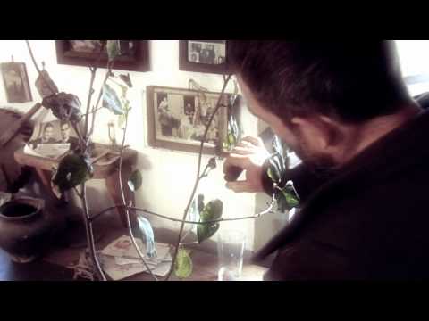 Видео: My Final HeadShot - Осколки мечты