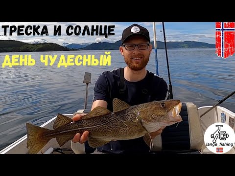 Видео: ТРЕСКА и СОЛНЦЕ день ЧУДЕСНЫЙ! Рыбалка на лодке! Рыбалка в Норвегии! Норвегия. Рыбалка.