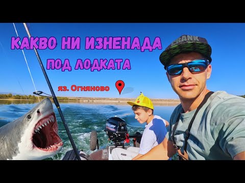 Видео: Бяла риба гони костурите на язовир Огняново риболови моменти