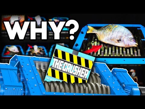 Видео: Почему эти каналы СУЩЕСТВУЮТ?