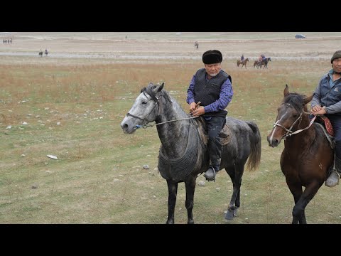 Видео: Аламан УЛАК. (2-болугу)  Муса ажынын небере тою  КЫЗЫЛ-ТУУ айылы