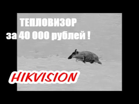 Видео: Тепловизор HIKVISION игрушка или прибор ?