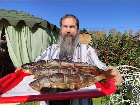 Видео: Терпуг горячего копчения в деревянной коптильне