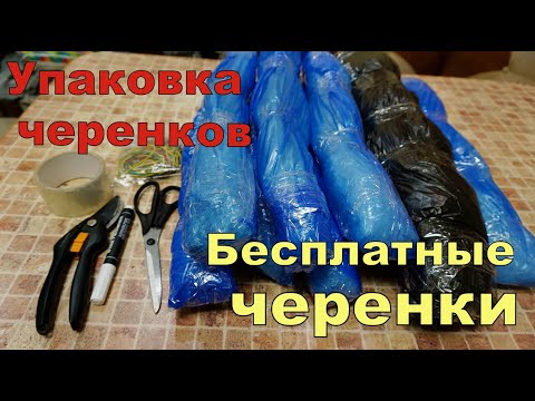 Видео: Виноград .Упаковка черенков для отправки по почте.