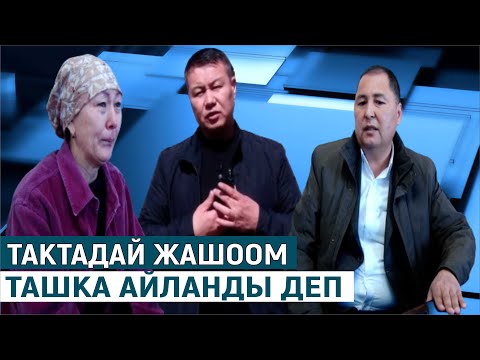 Видео: ТАКТАДАЙ ЖАШООМ ТАШКА АЙЛАНДЫ #ШИБЕГЕ