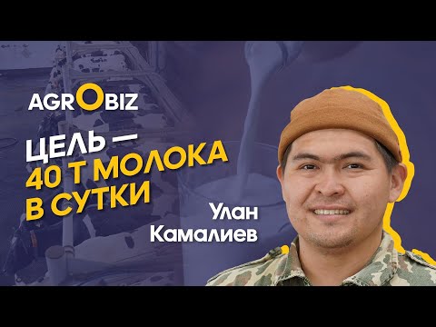 Видео: Молочное животноводство ОХМК: от кормов до молока | AgroBiz