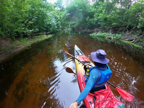 Видео: Сплав на каяках по реке Орель с TRAVEL KAYAK