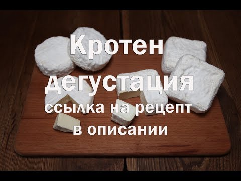 Видео: Дегустация сыра Кротен и коровьего и козьего молока  Ссылка на рецепт в описании