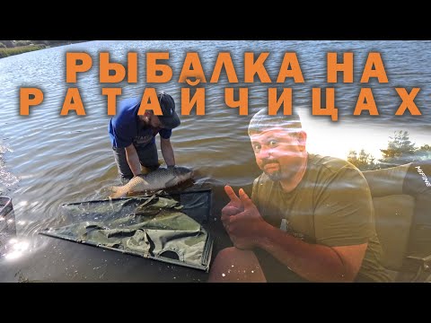 Видео: Рыбалка на "Ратайчицах"