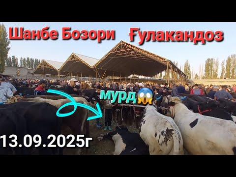 Видео: Шанбе Бозори Ғулакандоз 13-сентябр нарху навои Буқачаҳои нигоҳбори ва молҳои оча бача дар бозор