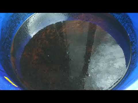 Видео: Масло в антифризі, Рено Кенго 2, 1.5 дизель, 2009 г.