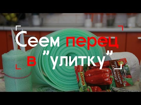 Видео: Сеем перец в "улитку".