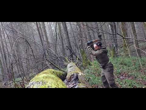 Видео: Охота на Куницу, с Лайками.  снова Еноты) 2021