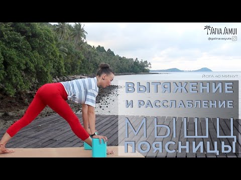 Видео: РАССЛАБЛЕНИЕ МЫШЦ ПОЯСНИЦЫ. УБРАТЬ БОЛЬ В ПОЯСНИЦЕ. РАСТЯЖКА ДЛЯ ПОЯСНИЦЫ.ЙОГА 40 МИНУТ
