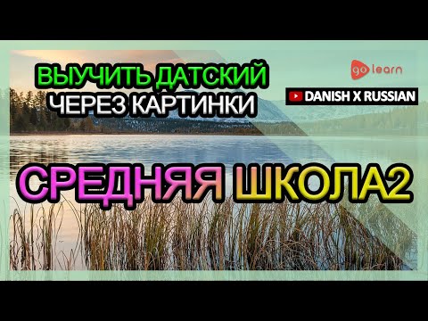 Видео: Выучить датский через картинки |датский словарь средняя школа2 | Golearn