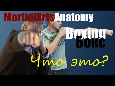 Видео: [Боевые умения] Что такое - бокс?