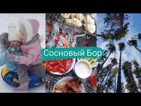 Видео: Vlog СОСНОВЫЙ БОР