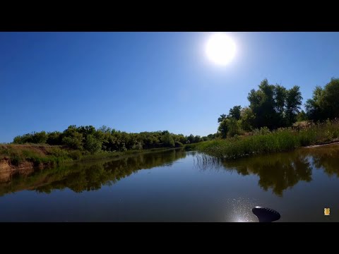 Видео: Сплав на SUP борде по р. Чир г. Суровикино 4 Часть.