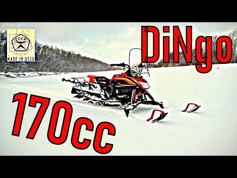 Видео: Снегоход DiNGo T150 . Замена поршневой на 170СС