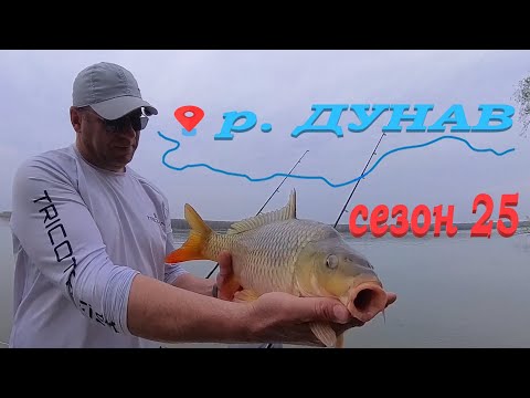 Видео: ДУНАВСКИ ШАРАНИ през МАРТ част 2 ! Wild carp fishing! Danube RIVER carp fishing ! Crapul de Dunăre!