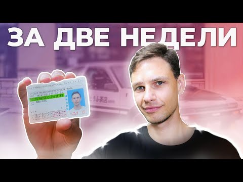 Видео: Водительские права в Японии 🇯🇵