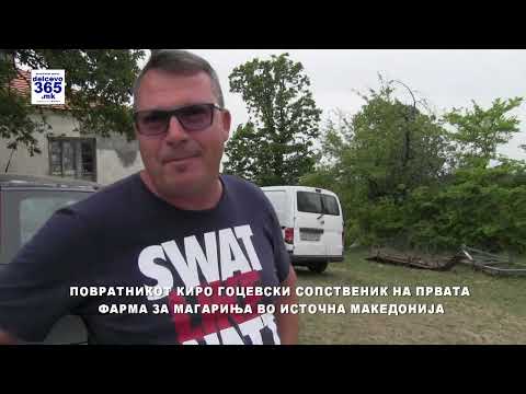 Видео: Сторија за Киро Гоцевски од с.Нов Истевник, сопственик на единствената фарма за магариња во Истокот