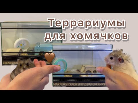 Видео: Витрина для хомяка - УБОРКА У ХОМЯКОВ 🤎🤎🤎