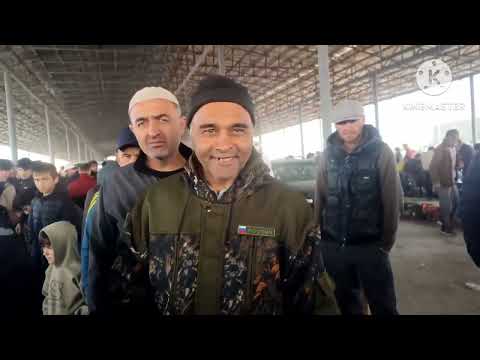 Видео: рынок г Душанбе Рудаки 10ноября здаровя голубятникам.