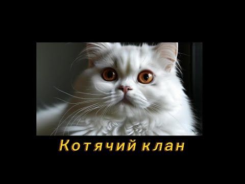 Видео: Котячий клан. Історія з життя