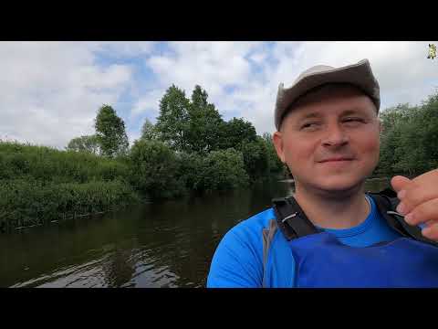 Видео: Сплав по реке Болва / Брянская обл./ Калужская обл.Болва /полный фильм #гдепоплавать