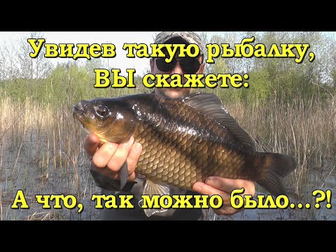 Видео: Караси больше килограмма. Хитрый метод ловли. Рыбалка весной на карася