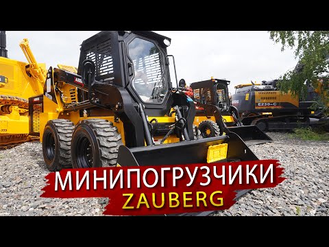 Видео: Что внутри Фронтального мини погрузчика Zauberg. Обзор ДСТ