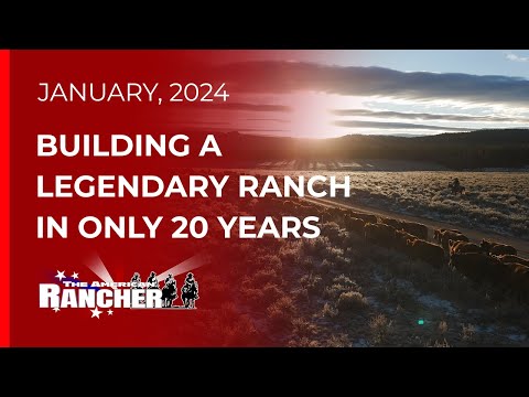 Видео: Ассоциация Ред Ангус Американский фермер 01 22 2024